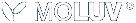 Moluv Logo - The world's best looking web sites.