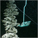 Snow Fall: The Avalanche at Tunnel Creek